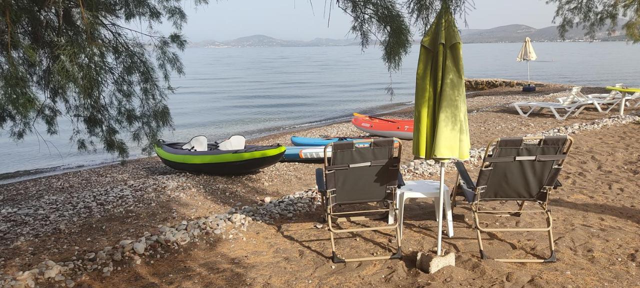 Vikos Beach Apartments Paralia Irion Exterior photo